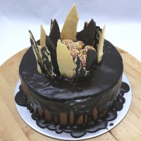 Chocolate Shard Cake with Freckles